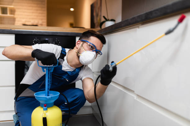 Best Emergency Pest Control  in New London, CT