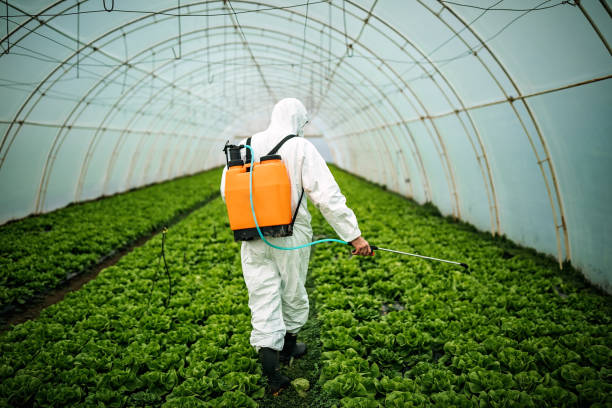 Best Residential Pest Control  in New London, CT