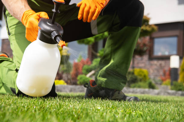 Best Rodent Control Near Me  in New London, CT