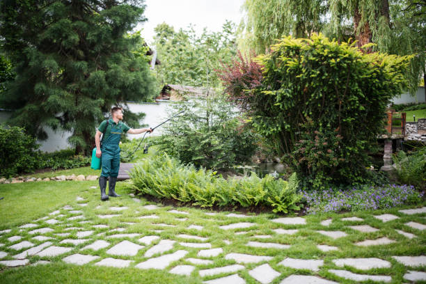 Best Mosquito Control Services  in New London, CT