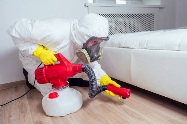 Best Pest Removal Services  in New London, CT