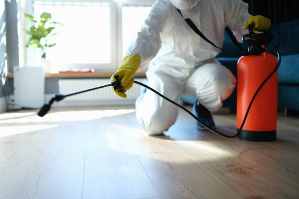 Best Ant Control Services  in New London, CT