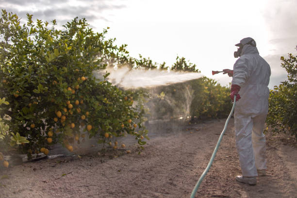 Best Wildlife Control Services  in New London, CT