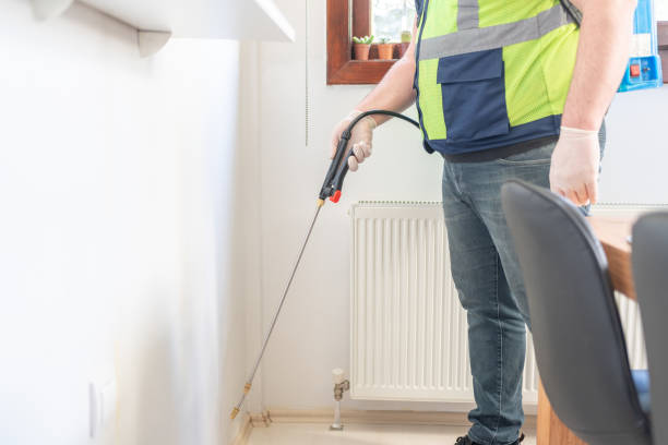 Best Rat Extermination Near Me  in New London, CT