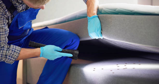 Best Exterminator Services  in New London, CT