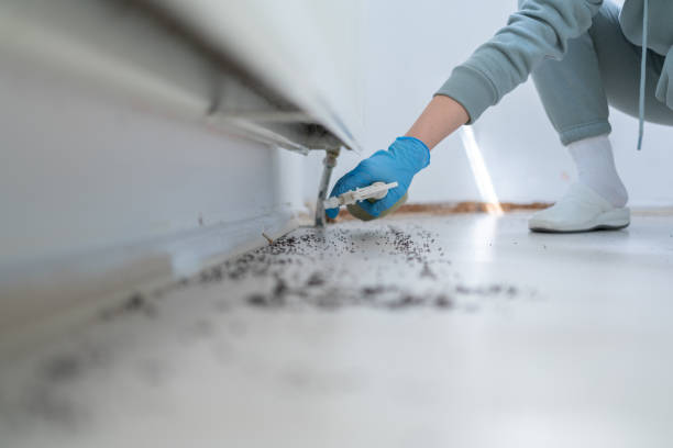 Best Pest Prevention Services  in New London, CT