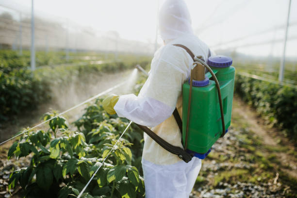 Pest Prevention Services in New London, CT